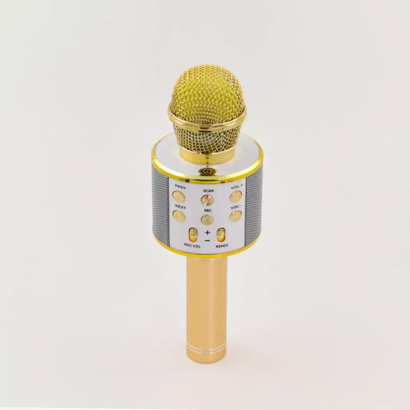Wireless Karaoke Microphone